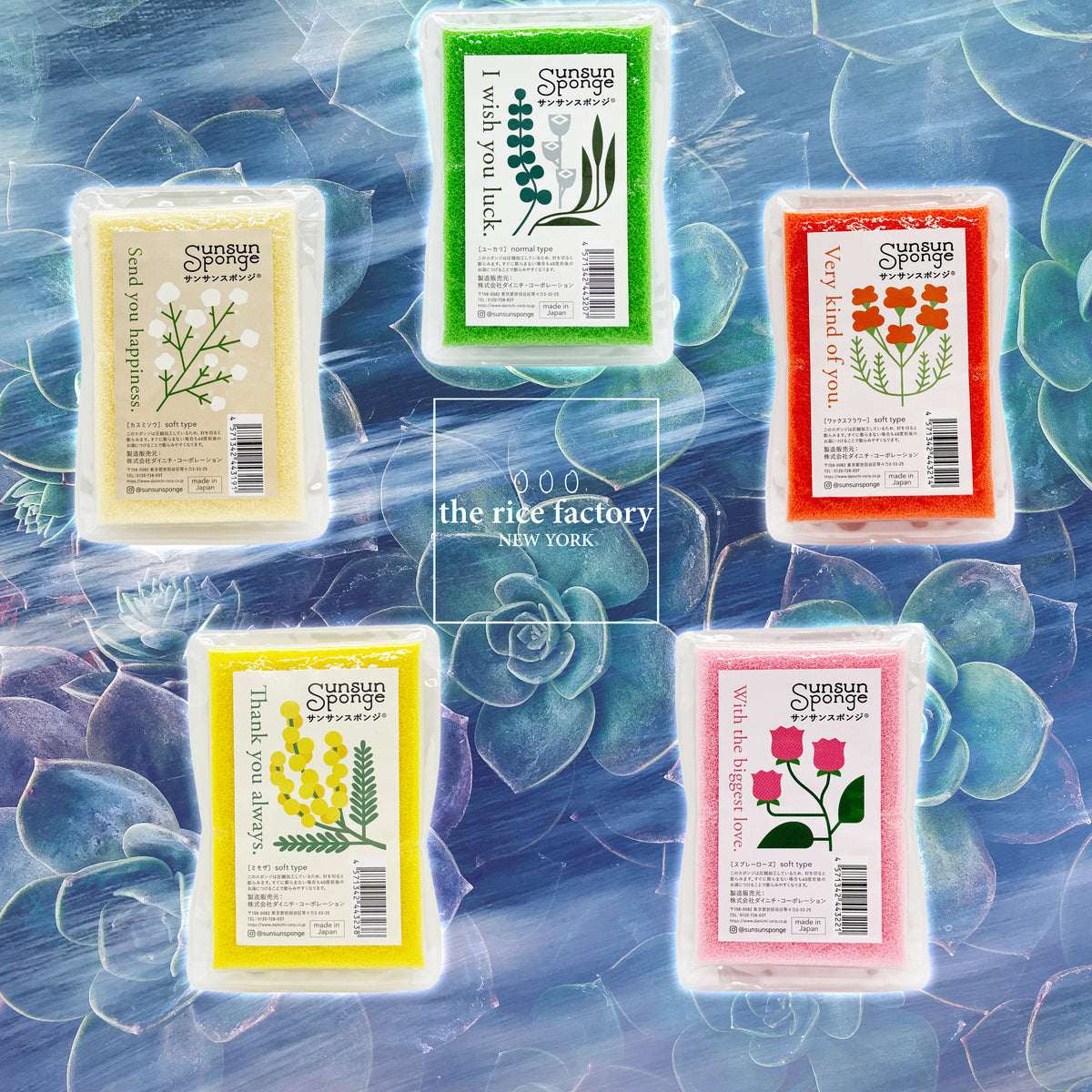 SunSun Sponge Flower Label 🌻サンサンスポンジ フラワーラベル