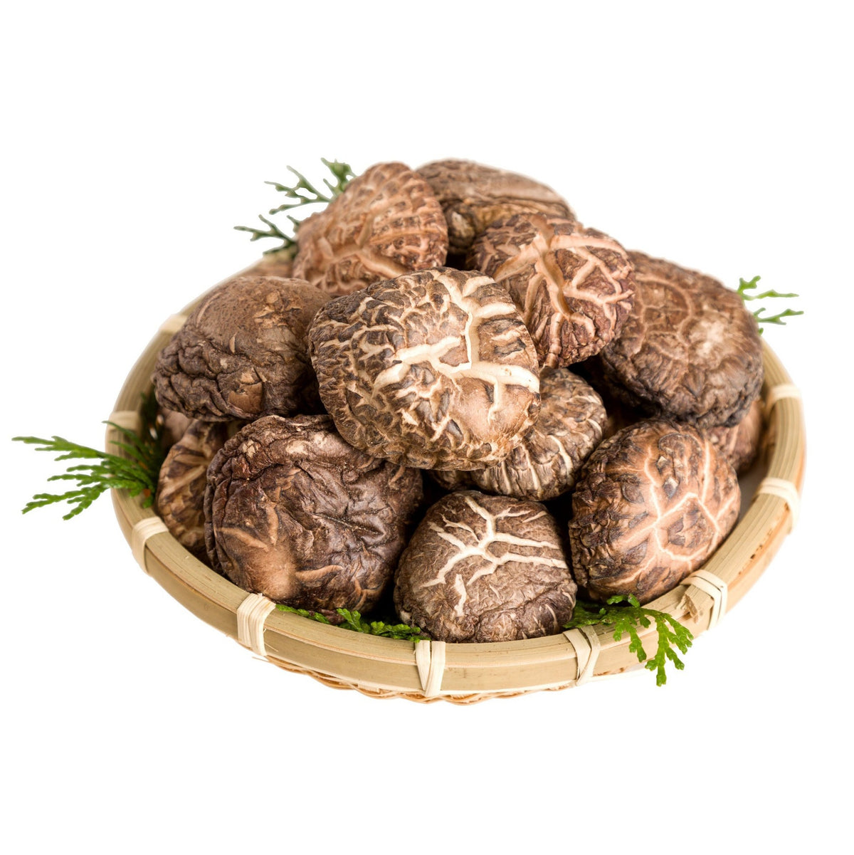 【SUGIMOTO】Japanese Dried Shiitake - DONKO- 九州産椎茸どんこ 25-42mm, 70g