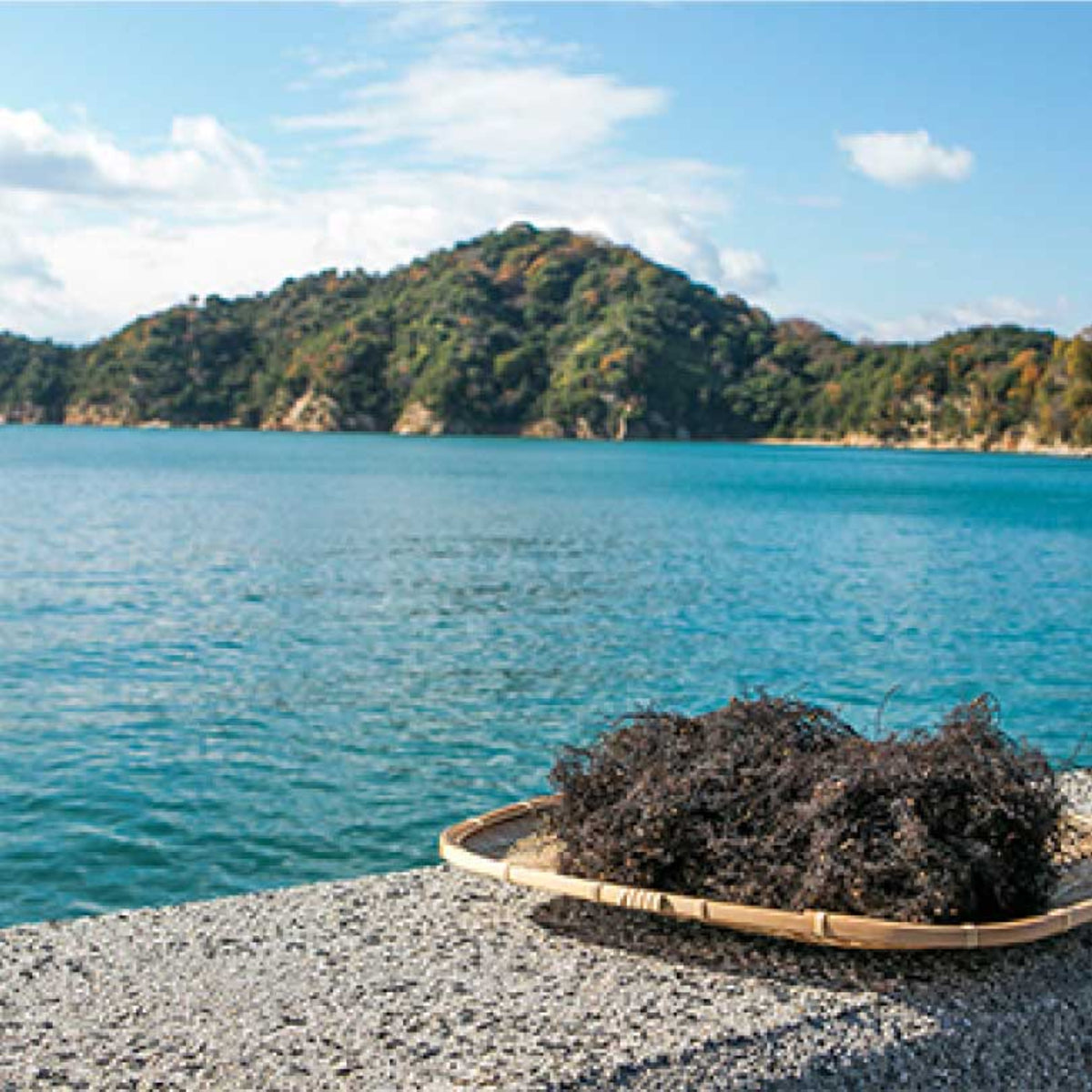 【AMABITO NO MOSHIO】Seaweed salt - 海人の藻塩 - 35~40g