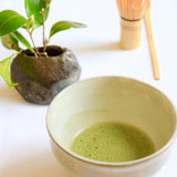 【JYUGETSUDO】Organic Fuji no Haru Matcha -無農薬 富士の春 - 50g