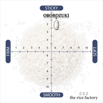 Collections – the rice factory NY