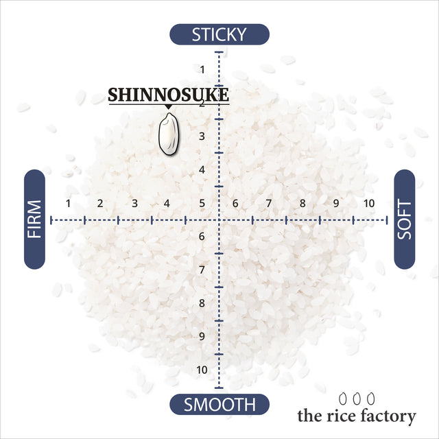 Shinnosuke