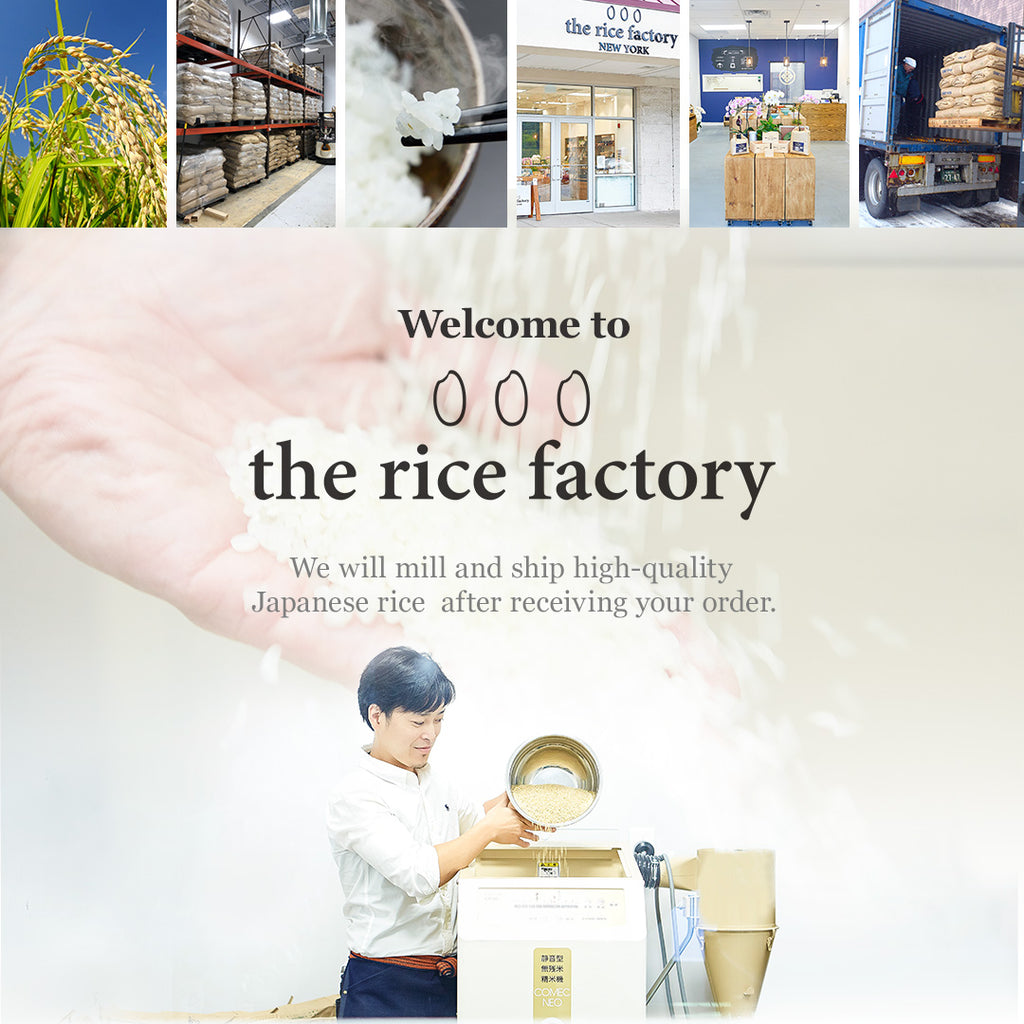 the rice factory NY
