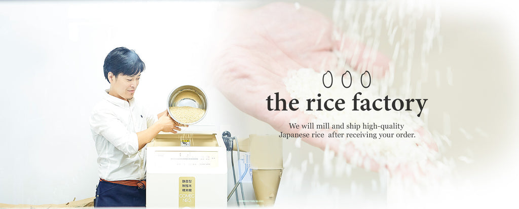 the rice factory NY