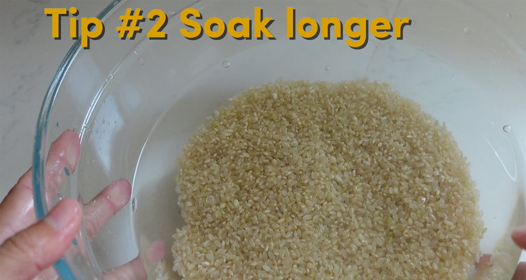 Soaking Cook How to Cook Japanese Brown Rice – the rice factory NY