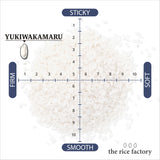 Yamagata Yukiwakamaru- 山形 雪若丸- 2025 Crop