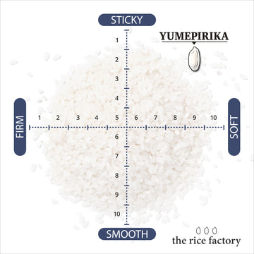ライスオンライス Collections – the rice factory NY