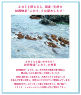 Sun Dried Funori Seaweed - ふのり 20g
