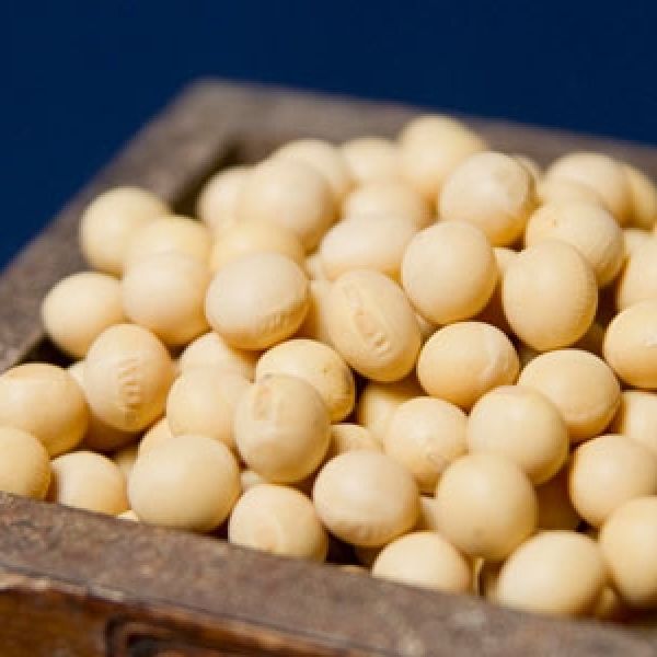 Organic soy - 有機大豆 - 650g