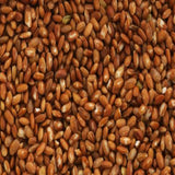 【MORIKA】Millet "Red Glutinous Rice (Ancient Rice)" -赤もち米- 150g