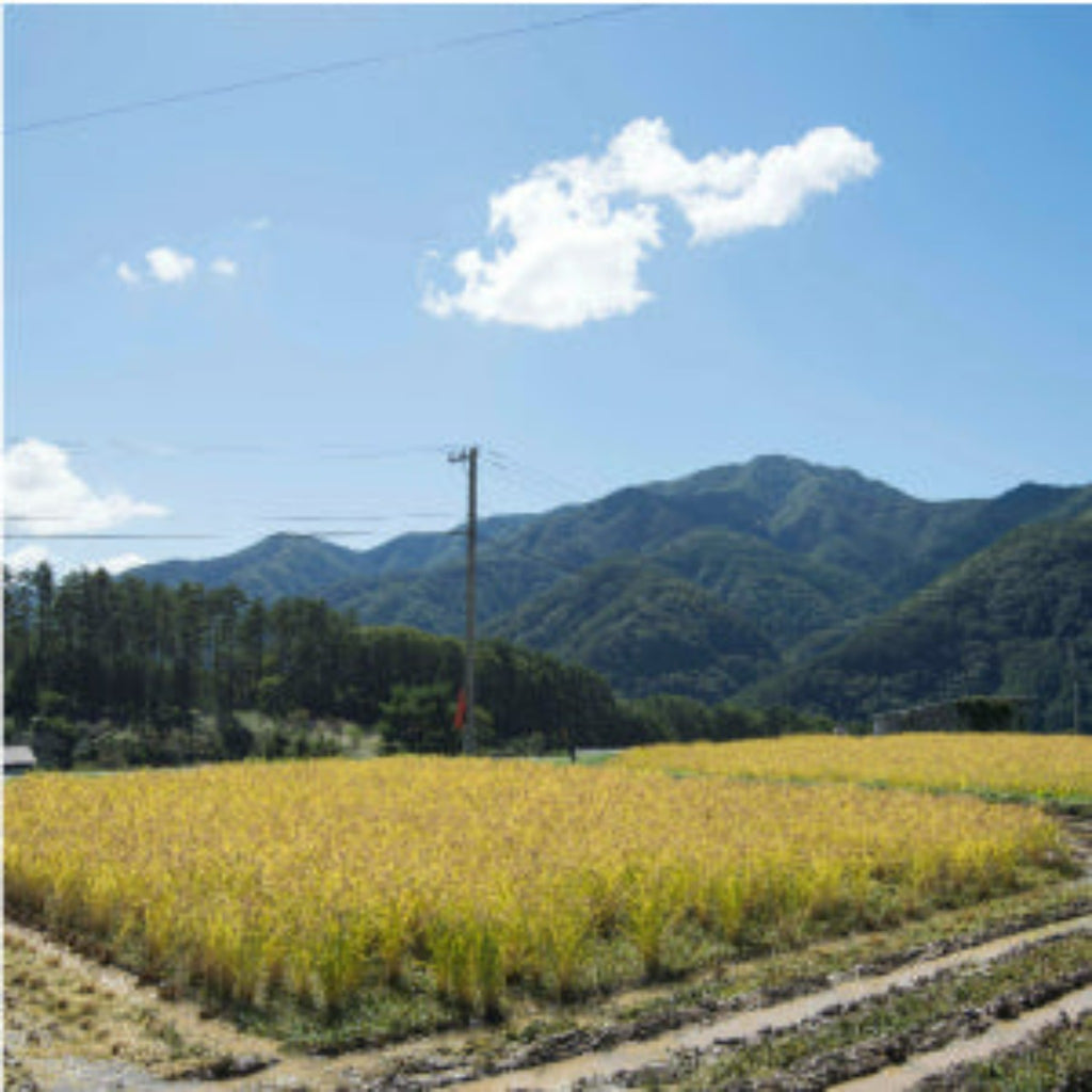Nagano Shirake mochi Organic-無農薬 長野 白毛もち- 2023 Crop