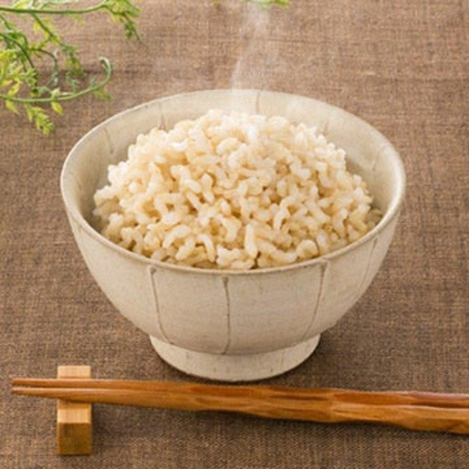 Retort Pack Germinated Brown Rice – the rice factory NY