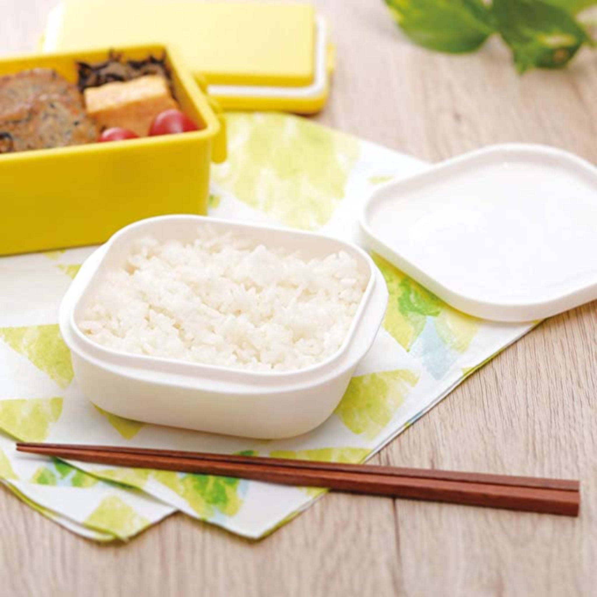 KEEPBOB 8 Piece Rice and food saving container/microwave safe/freezer  safe/BPA free (Large)