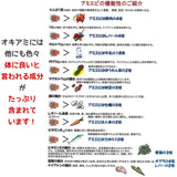 【KANEJO】Dried krill - 素干しあみえび - 50g