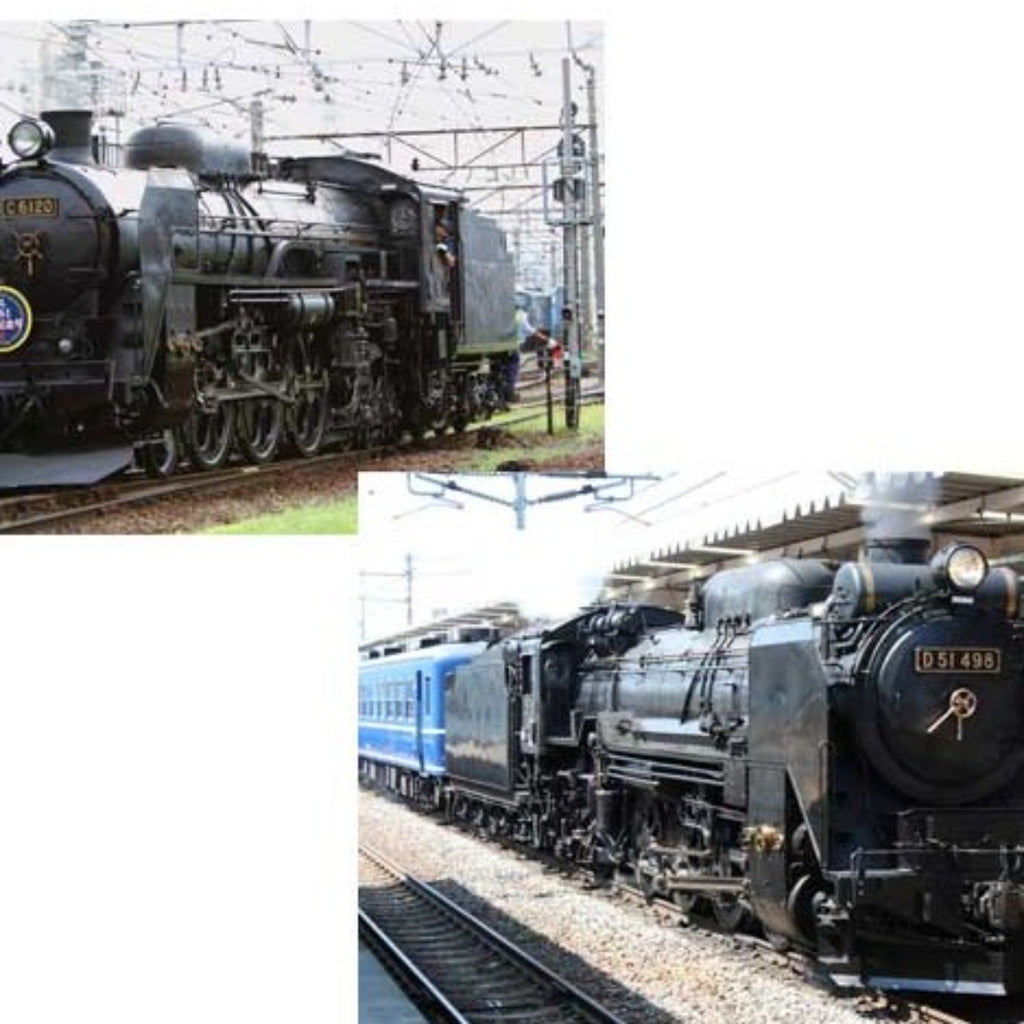 Chopsticks "Steam Locomotive" -【JR東日本商品化許諾済】プレミアムSL(D51498、C6120)箸-3