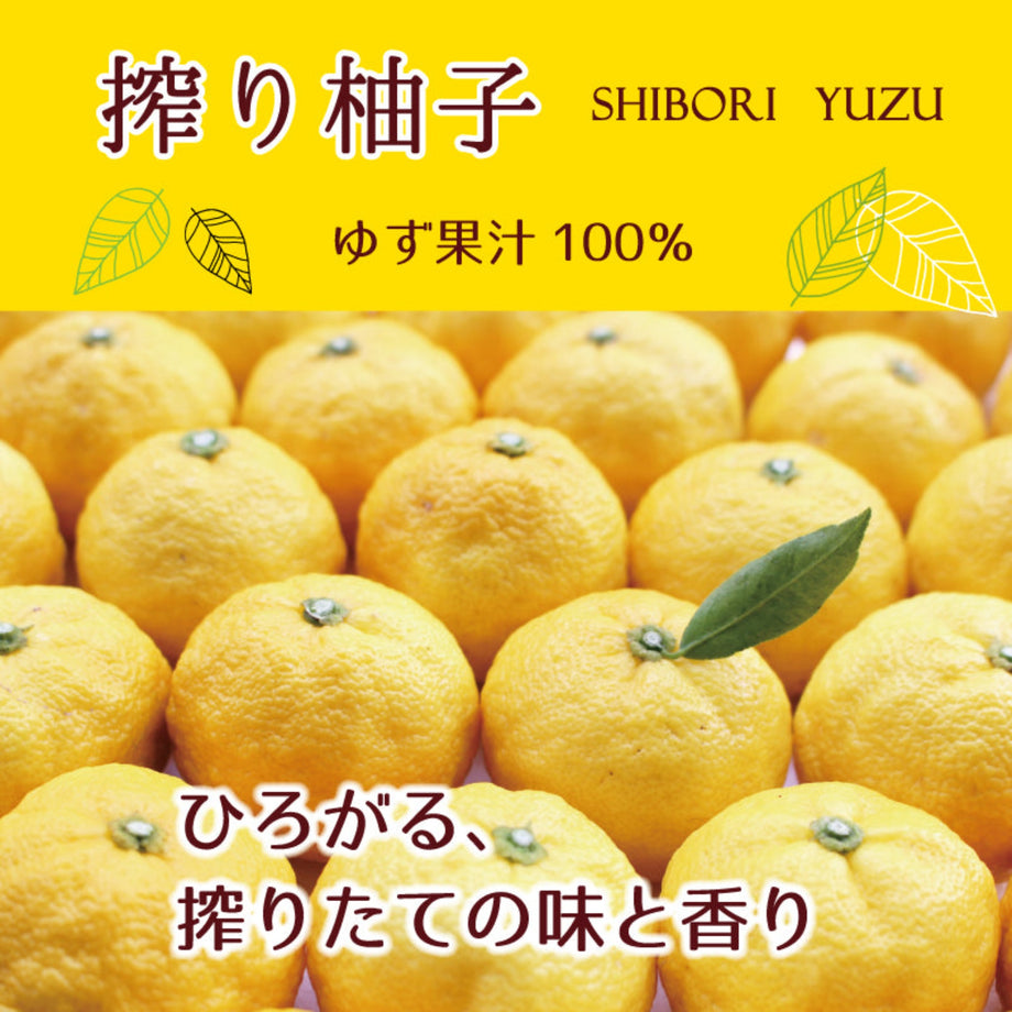 yuriyuri 白子筍 3キロ クール 楽天市場】【1本で重さ約3～10kg】極上・最高級 自然天然物 伊豆